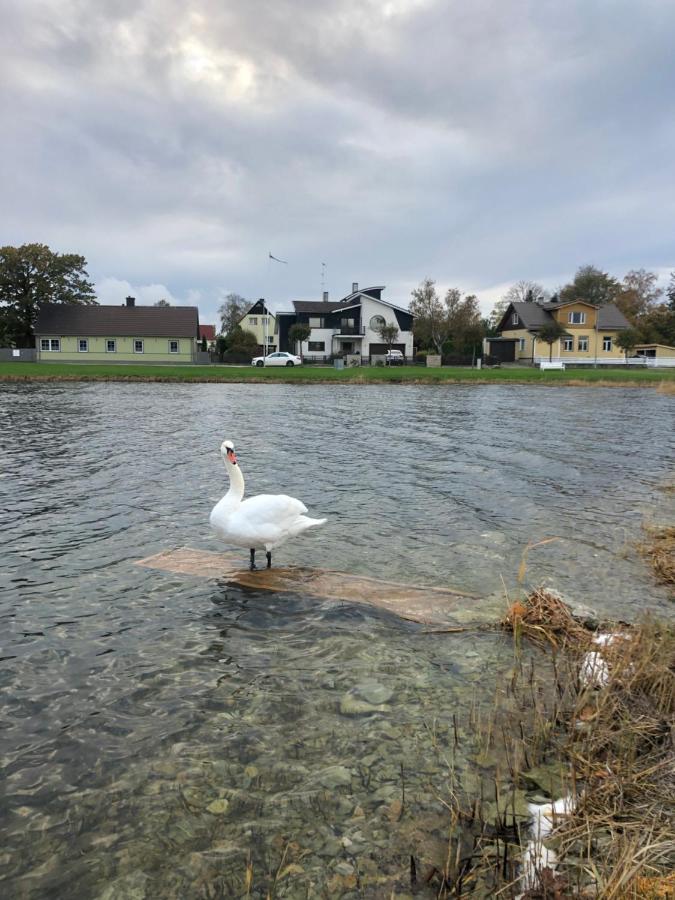 Viigi Haapsalu